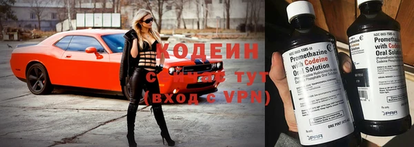 шишки Баксан
