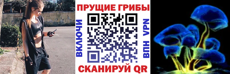 Псилоцибиновые грибы ЛСД Малая Вишера